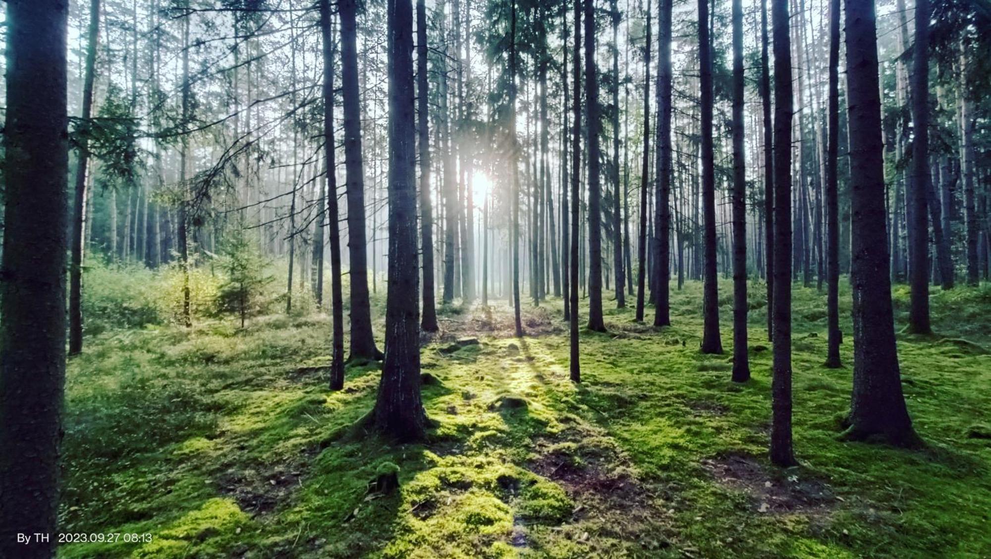 Chata Marecek - V Lesni Osade U Reky Luznice Skalice Exterior photo